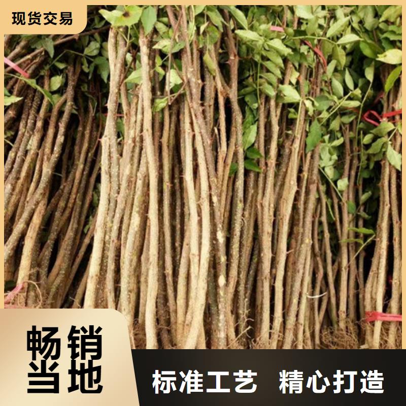 【花椒苗工程施工案例】