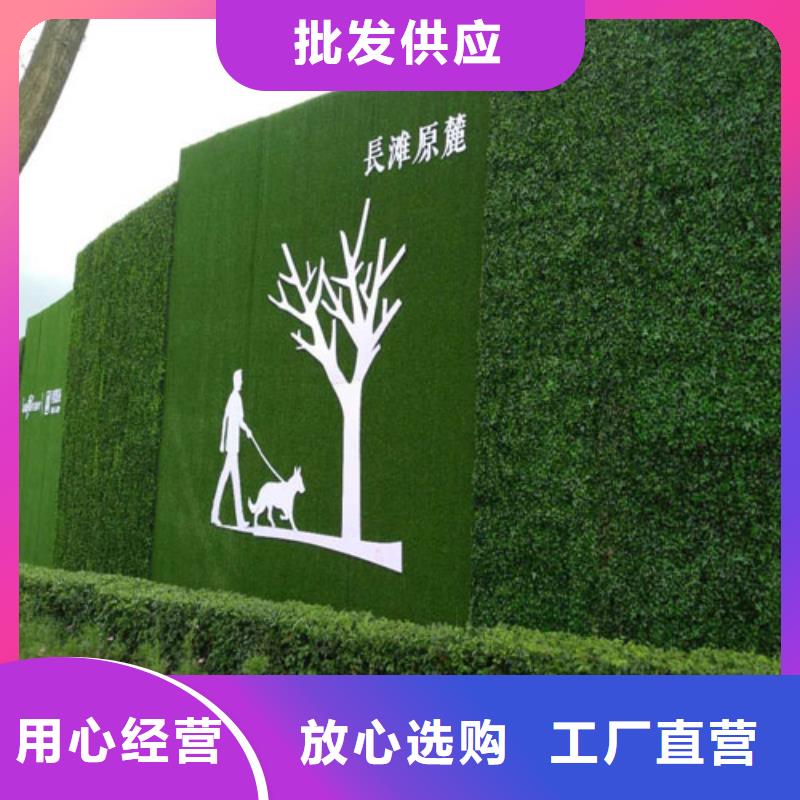 围挡草坪,人工草坪围挡专业生产厂家