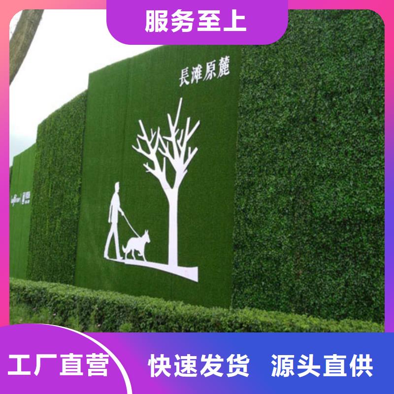 草坪围挡人工草坪围挡价格实惠工厂直供