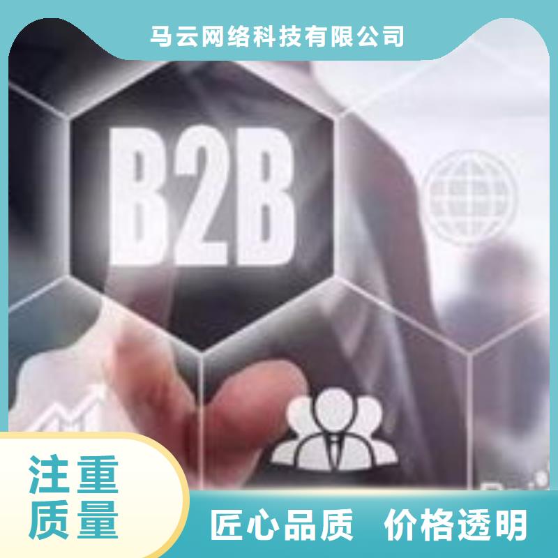 马云网络网络公司2024公司推荐