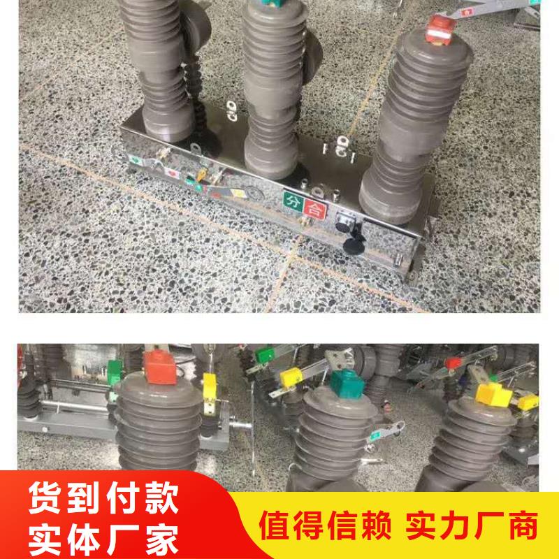 真空断路器高压保险丝保险管真正的源头厂家