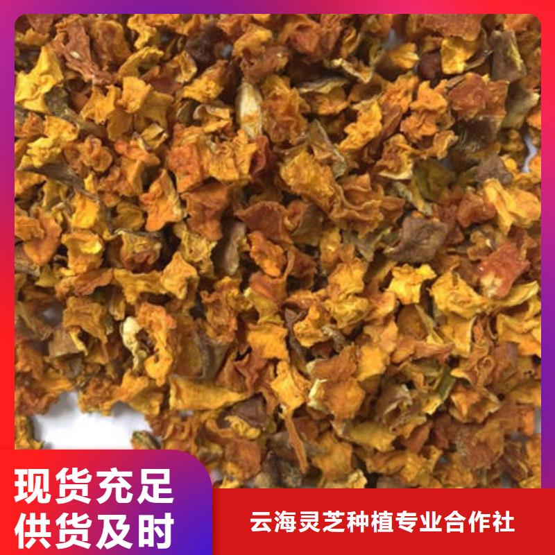 南瓜丁【灵芝盆景】推荐商家