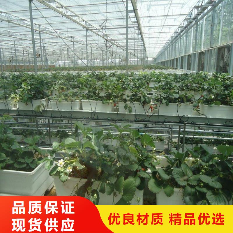 大棚管2温室大棚管严选材质