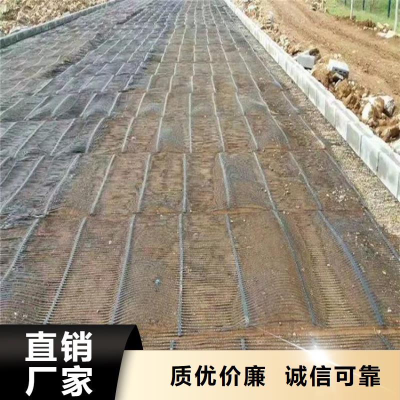 单向塑料土工格栅双向塑料土工格栅老客户钟爱