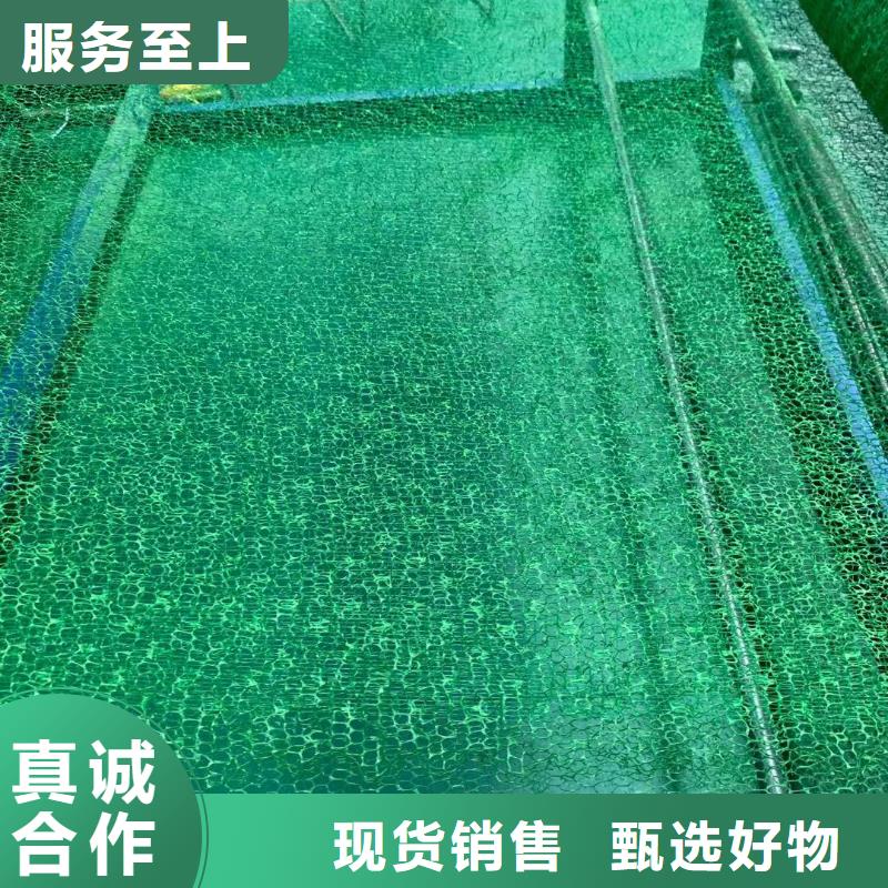 【三维植被网三维复合排水网源头工厂量大优惠】