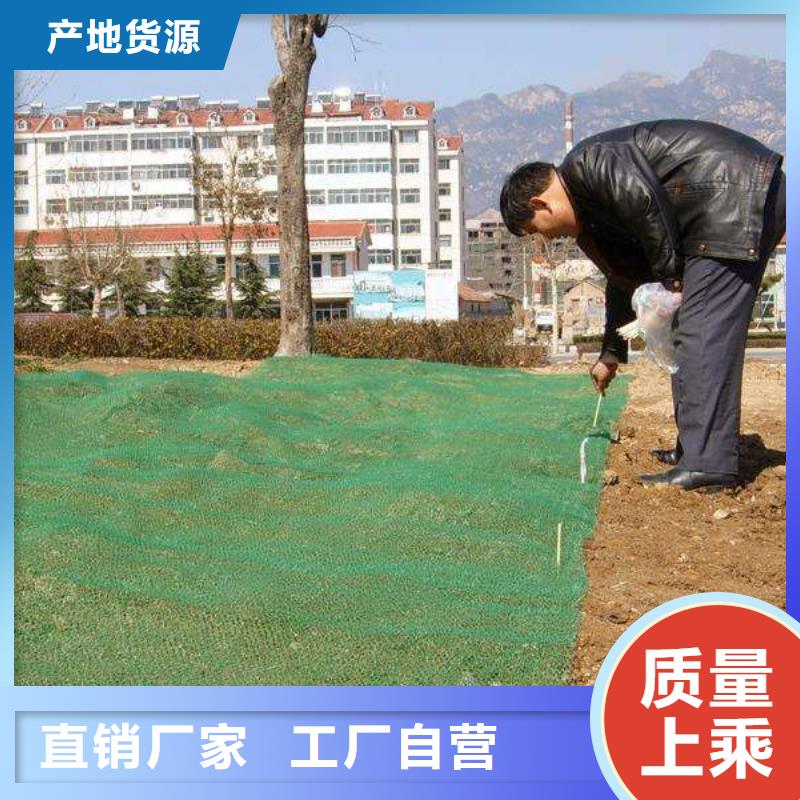 三维植被网,【PVC防水卷材】专业按需定制