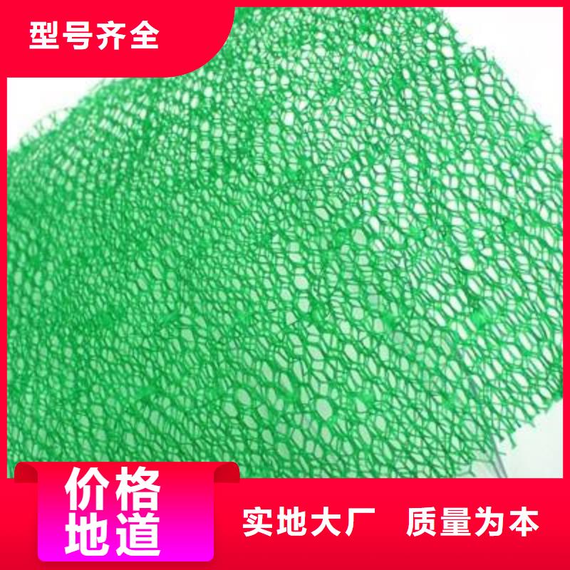 三维植被网双向拉伸塑料格栅品质服务