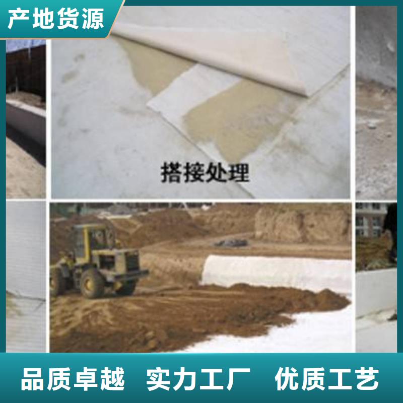 膨润土防水毯PP焊接土工格栅工厂直供