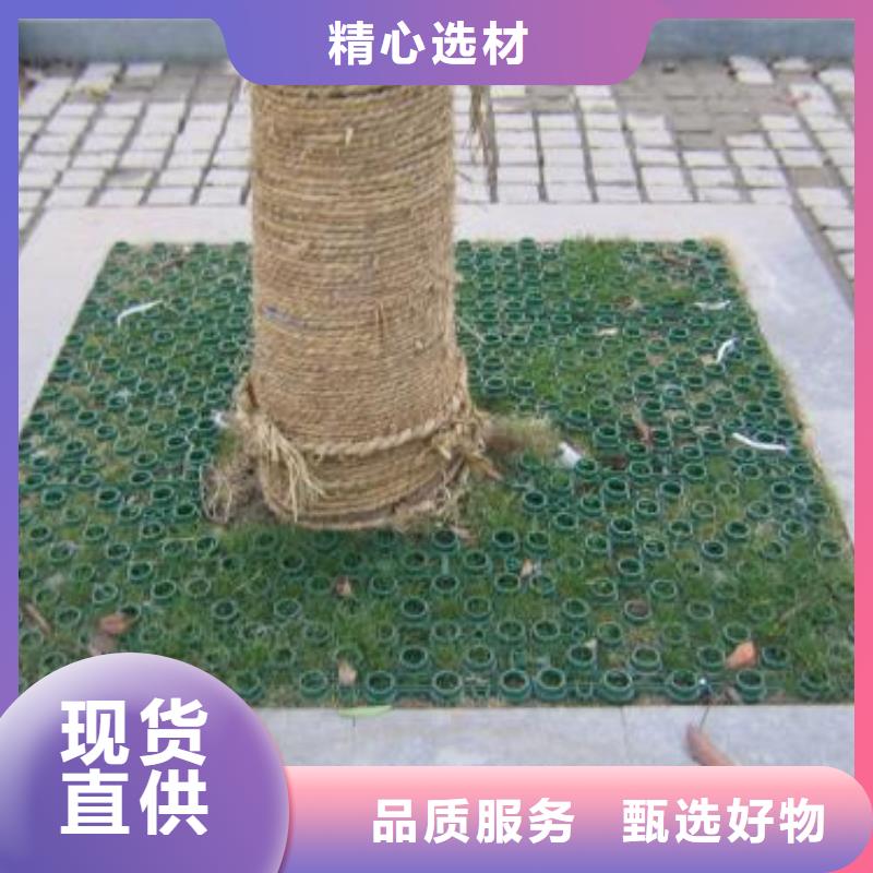 植草格【塑料盲沟】品牌专营