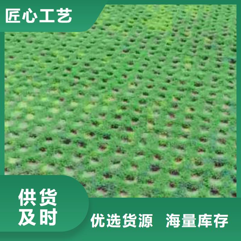 植草格,PP焊接土工格栅精品选购