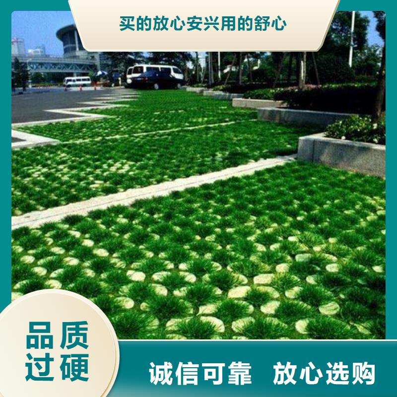 植草格【防渗膜】用品质说话