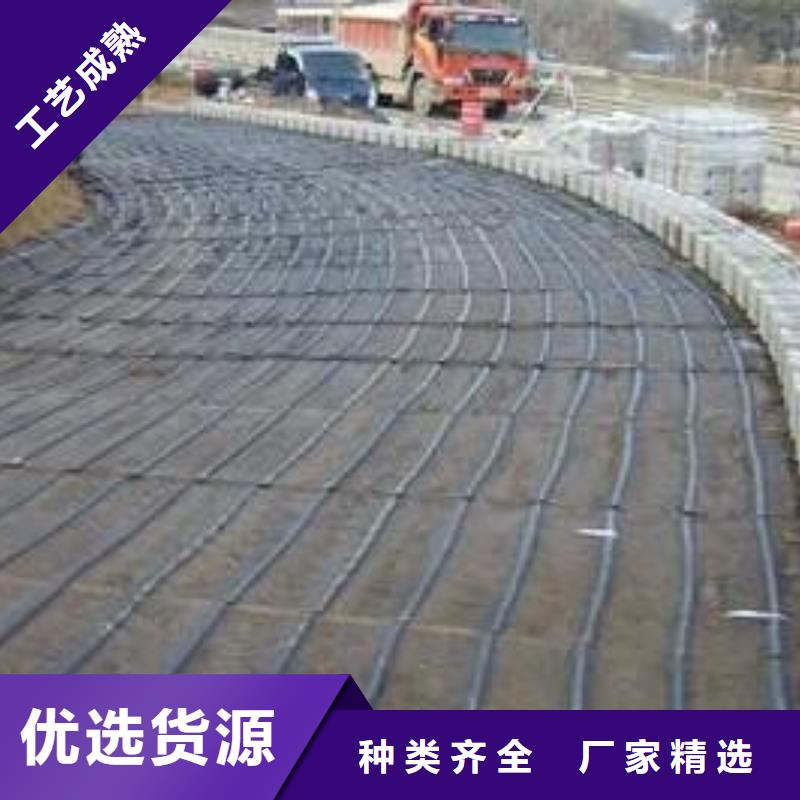 玻璃纤维土工格栅双向塑料土工格栅量大更优惠