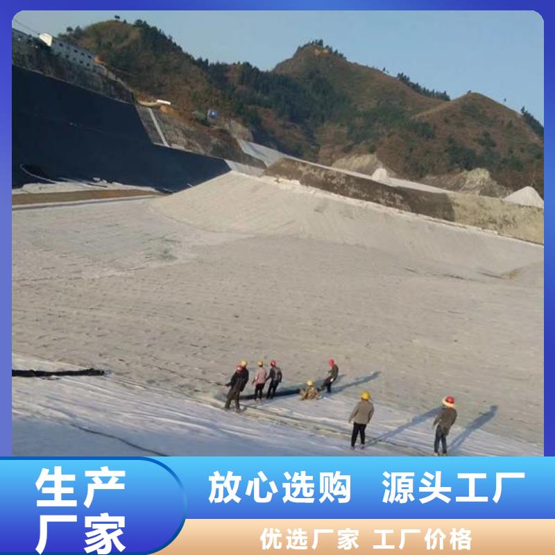 【膨润土防水毯钢塑土工格栅源头厂家经验丰富】