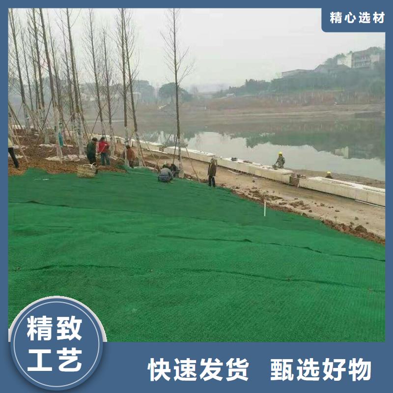 三维植被网防水土工布厂家规格全