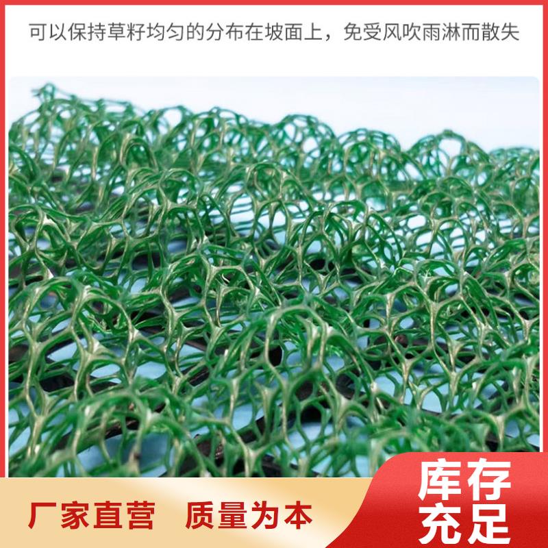 【三维植被网】双向塑料土工格栅用品质赢得客户信赖