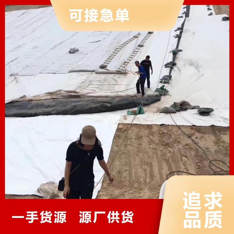 【三维复合排水网双向土工格栅多年经验值得信赖】