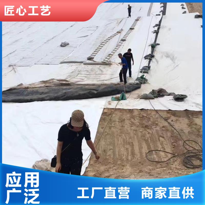 三维复合排水网膨润土防水毯厂家品控严格