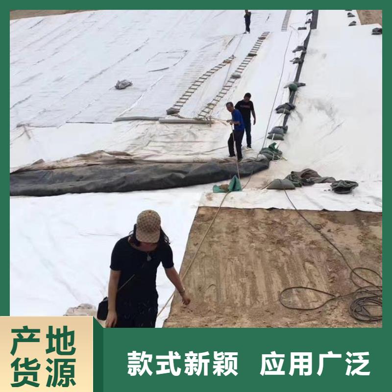 三维复合排水网塑料排水板精工打造