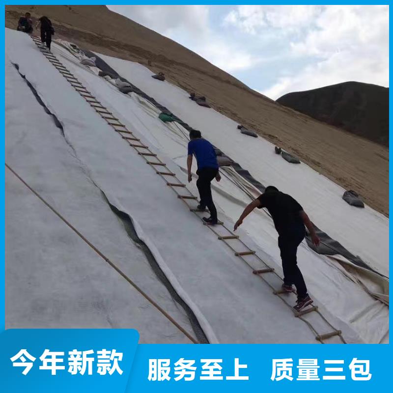 三维复合排水网钢塑土工格栅用心制作