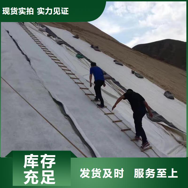 三维复合排水网涤纶土工格栅厂家定制