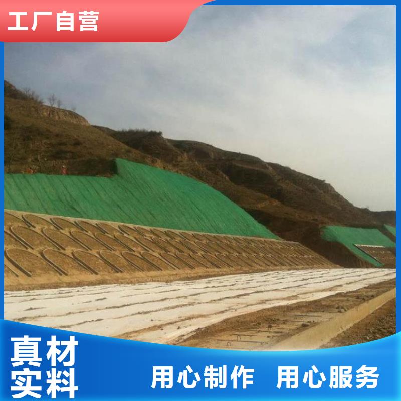 三维植被网双向塑料土工格栅源头采购