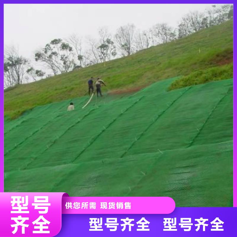 三维植被网单向塑料土工格栅实体厂家