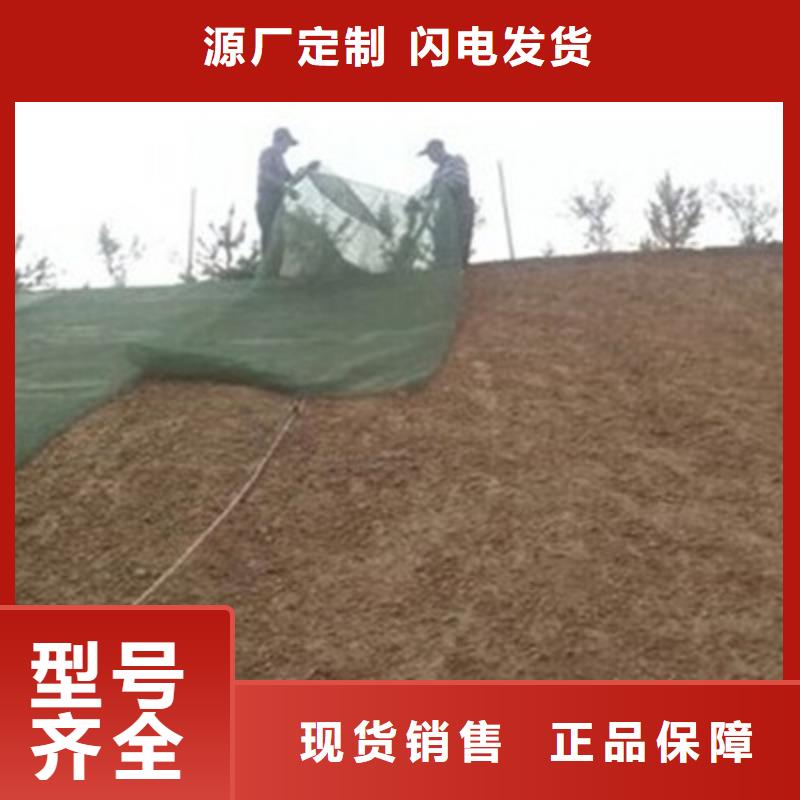 【三维植被网护坡土工网产地批发】