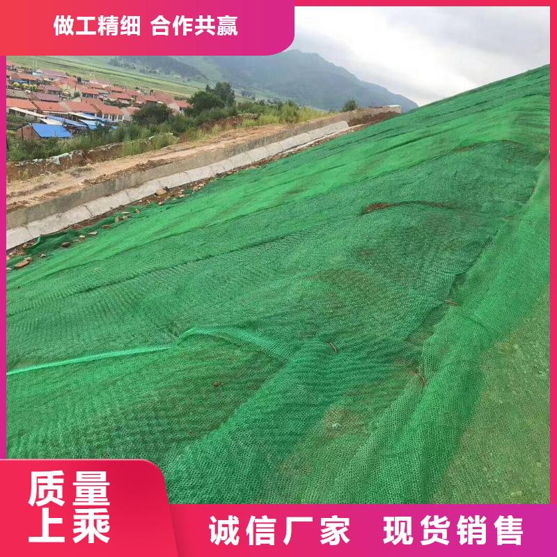 三维植被网凸结点钢塑土工格栅生产加工