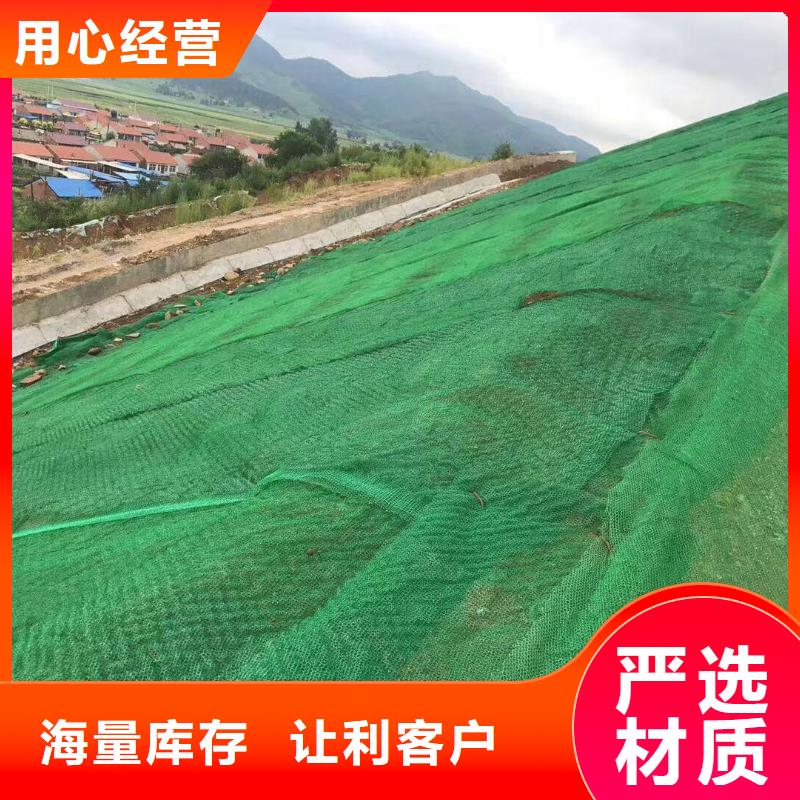 三维植被网,【涤纶土工格栅】品质优选