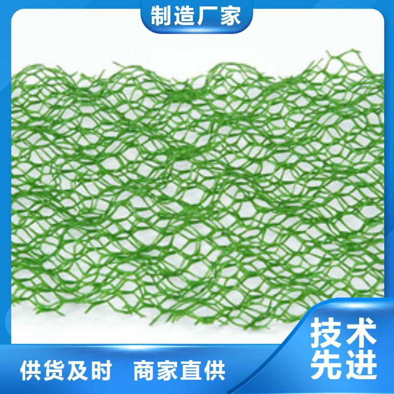 三维植被网-单向塑料格栅把实惠留给您