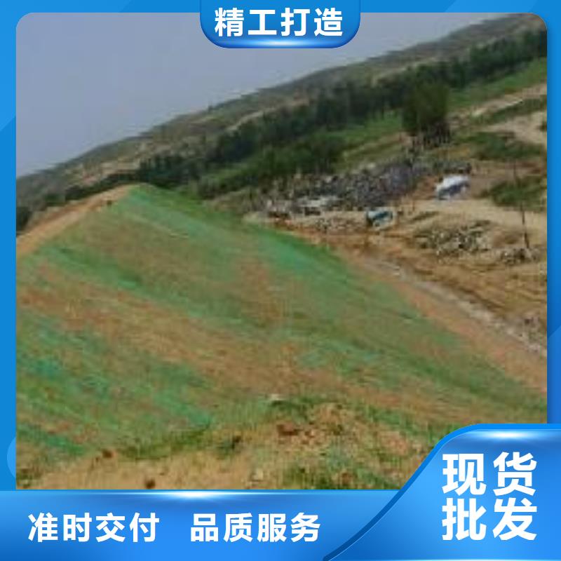 三维植被网钢塑土工格栅讲信誉保质量