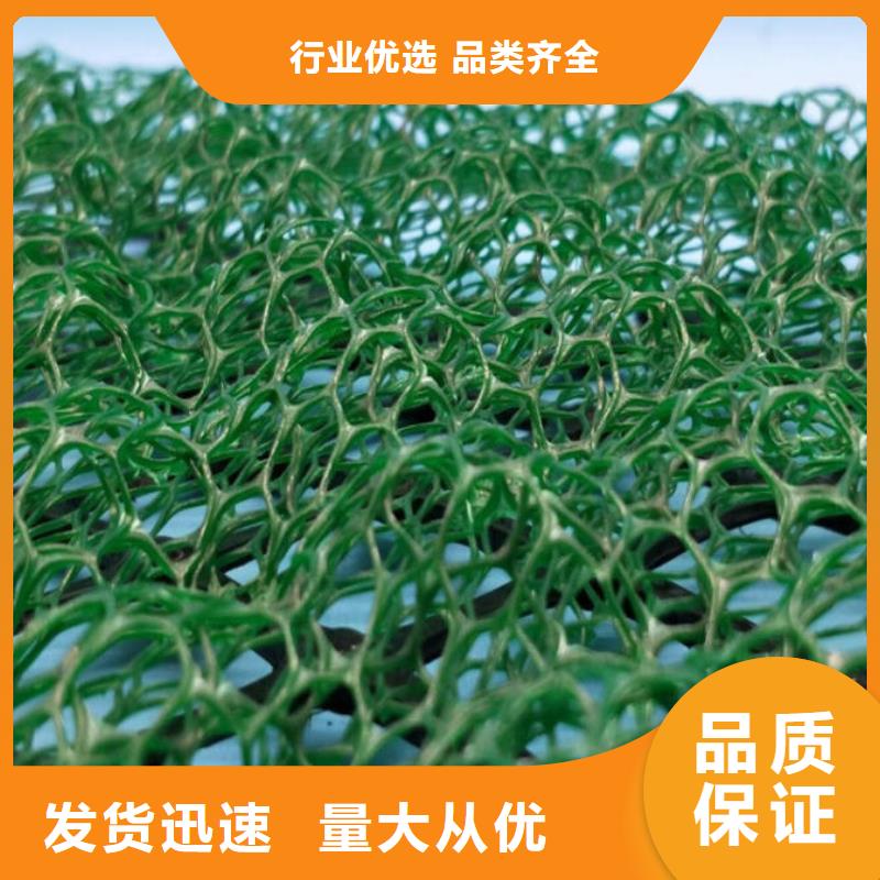 三维植被网【玻纤土工格栅】产地货源