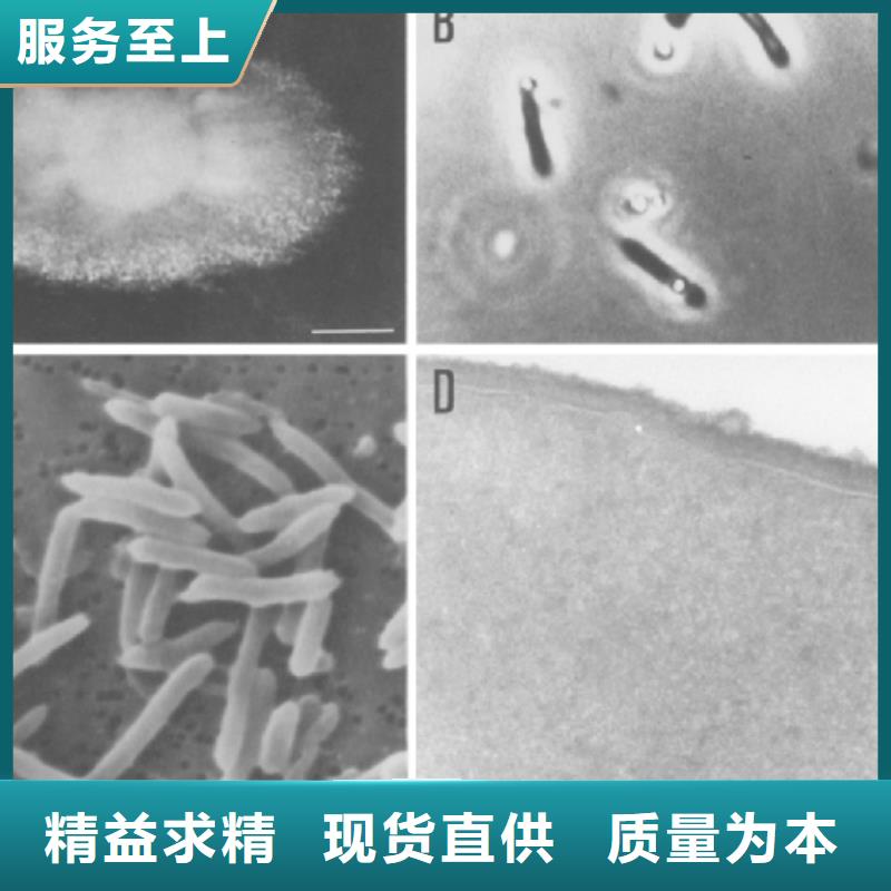 【碳源,蜂窝活性炭N年生产经验】