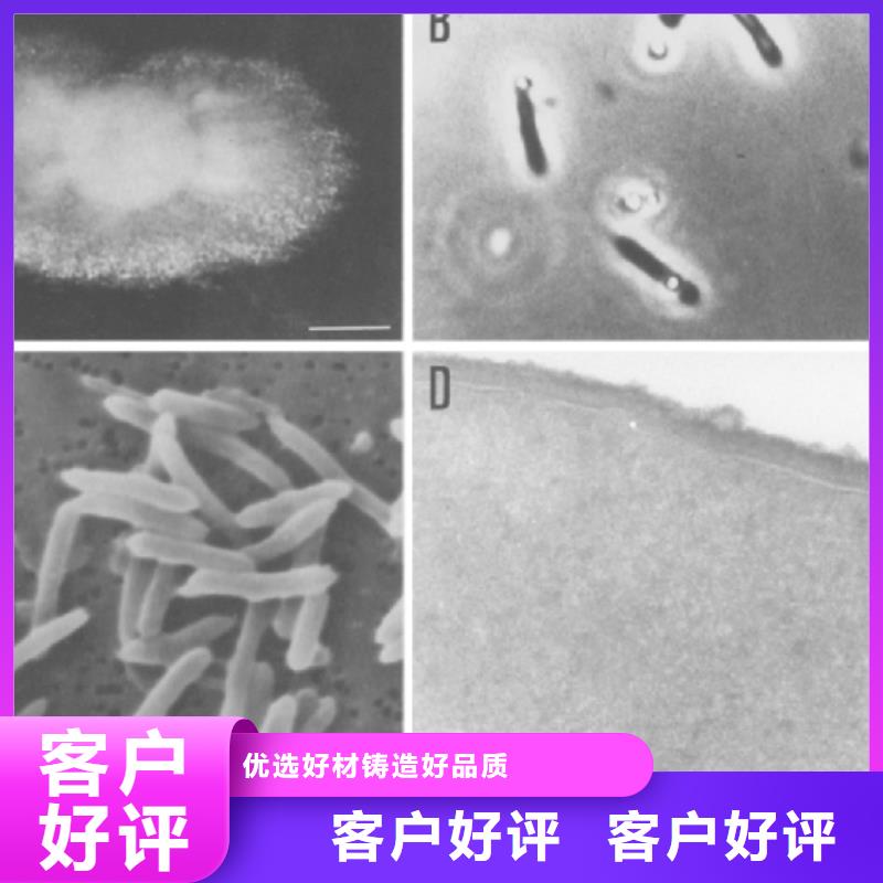 碳源【多面空心球】厂家直销安全放心