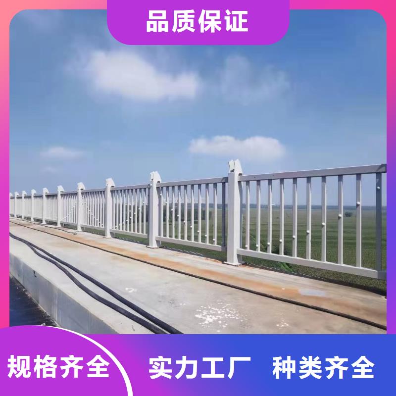 【道路护栏】,河道护栏实拍展现