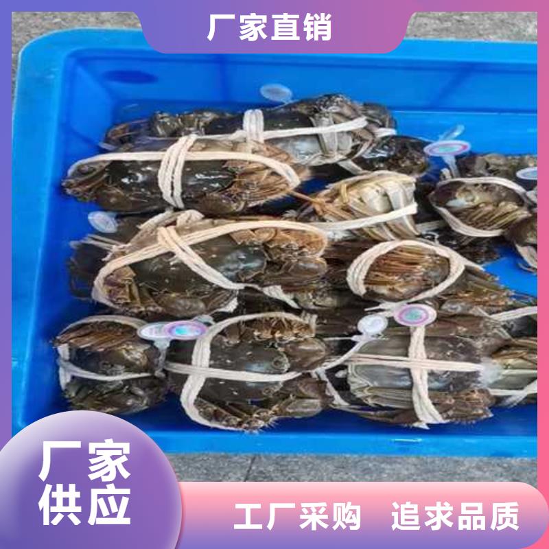 阳澄湖吃大闸蟹哪里正宗苏州莲花岛顾记蟹庄