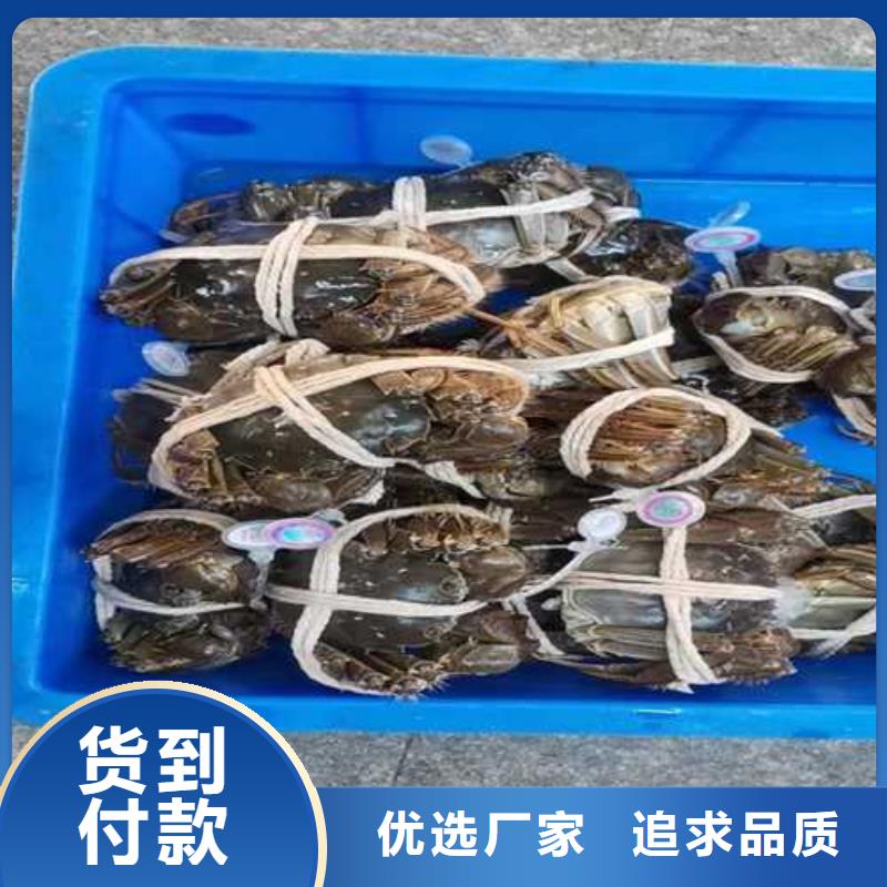 苏州阳澄湖大闸蟹那家实惠味道好