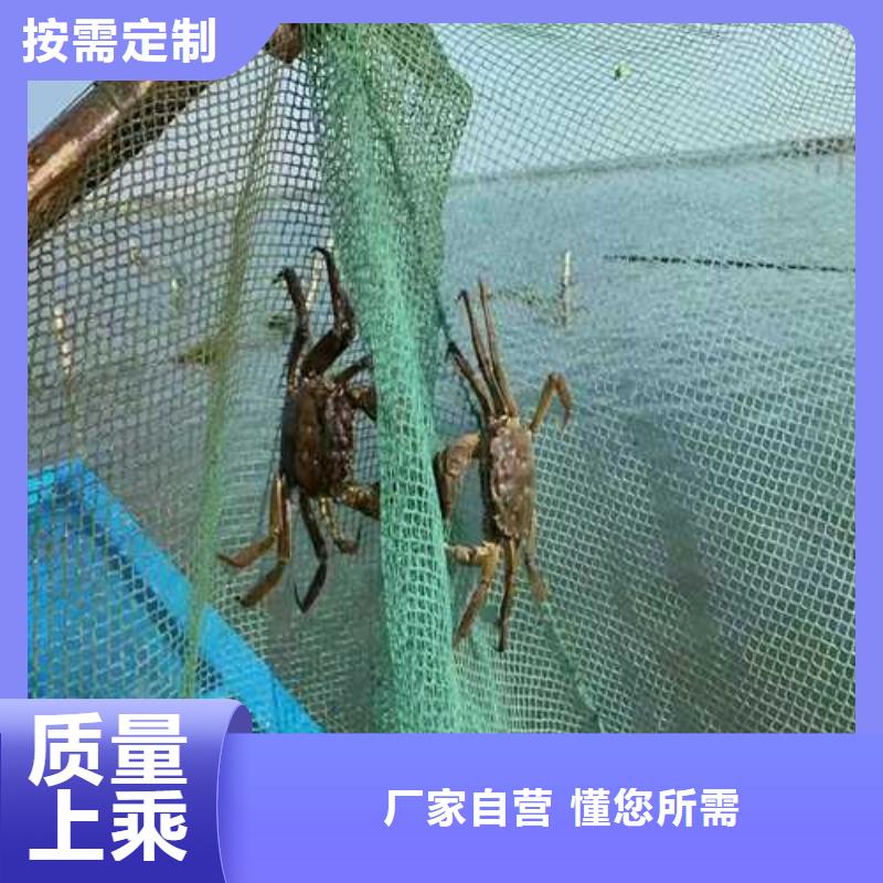 江苏阳澄湖大闸蟹哪家好