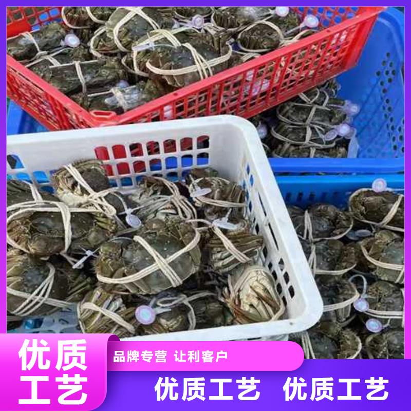 苏州阳澄湖大闸蟹哪里正宗