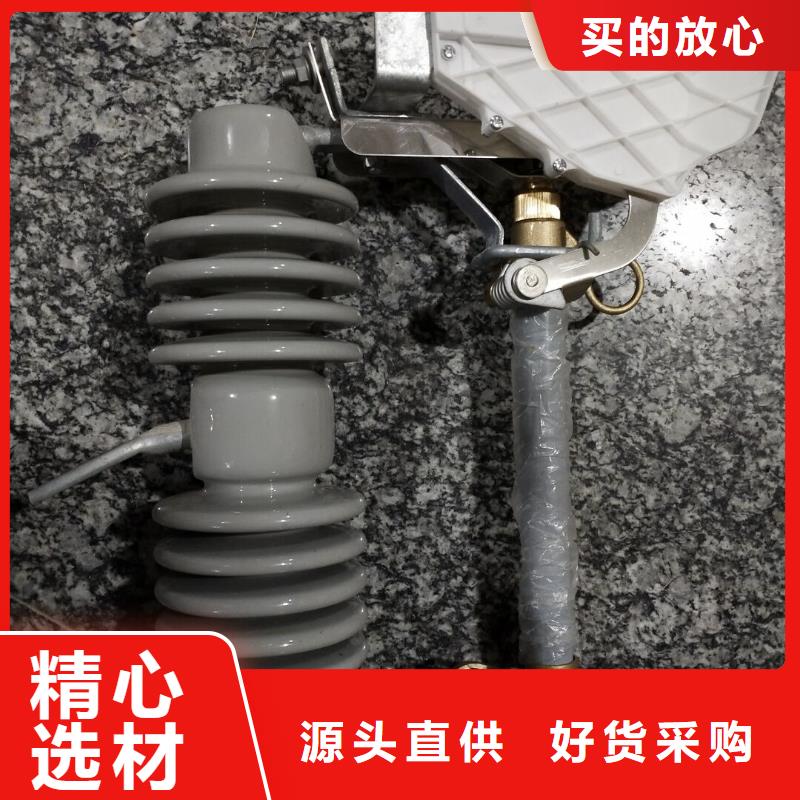 熔断器,高压支柱绝缘子厂家新品