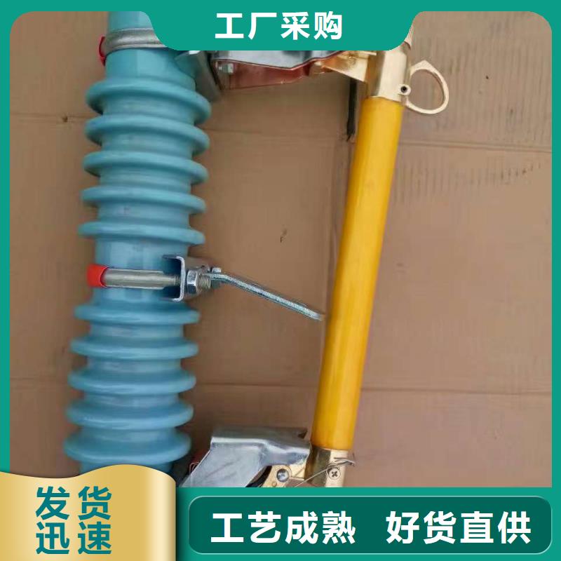 熔断器【真空断路器】厂家现货批发