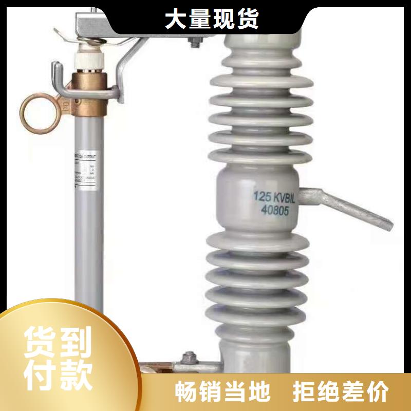 熔断器金属氧化物避雷器货真价实