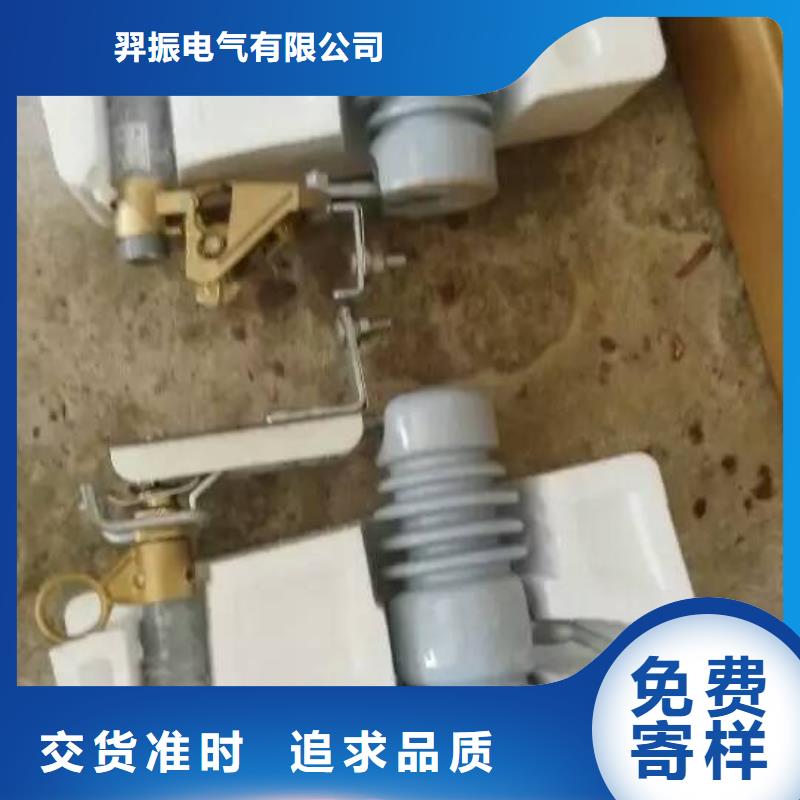 熔断器_金属氧化物避雷器发货及时