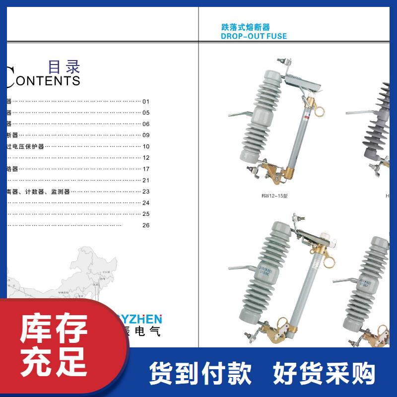 高压隔离开关金属氧化物避雷器源头厂源头货