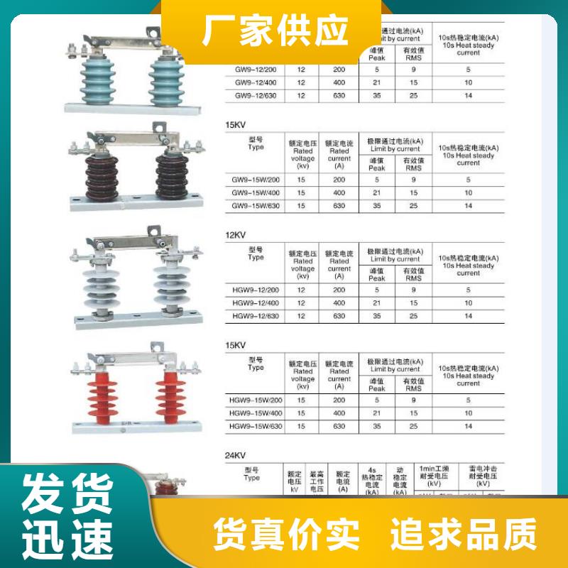 【高压隔离开关金属氧化物避雷器匠心制造】