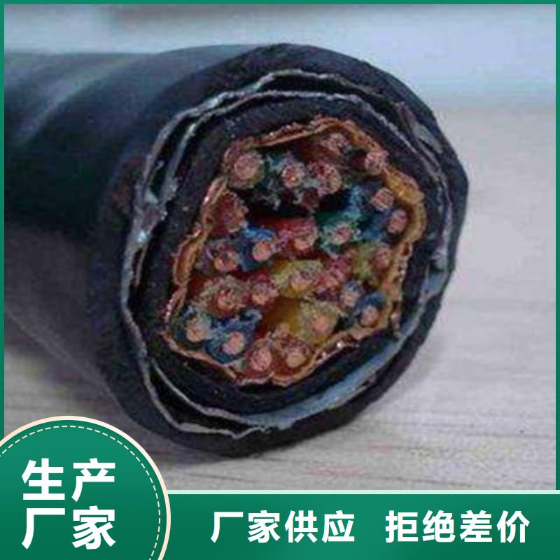 【计算机电缆屏蔽电缆自产自销】