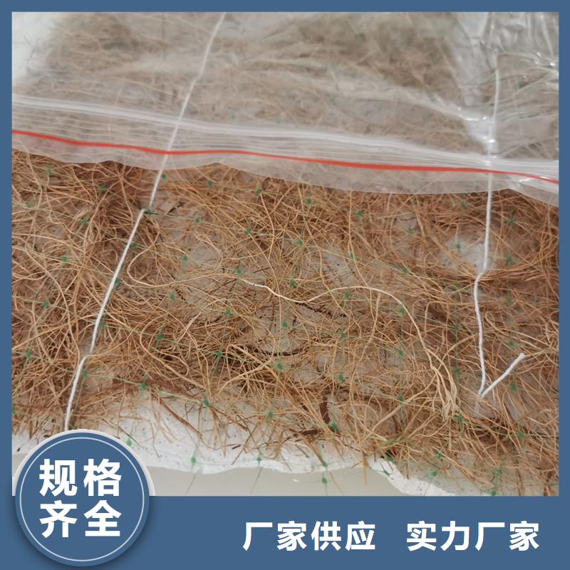 【椰丝毯】-塑料玻纤格栅把实惠留给您