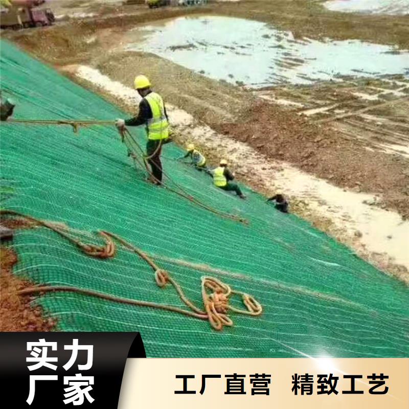 椰丝毯-土工格栅实体诚信经营