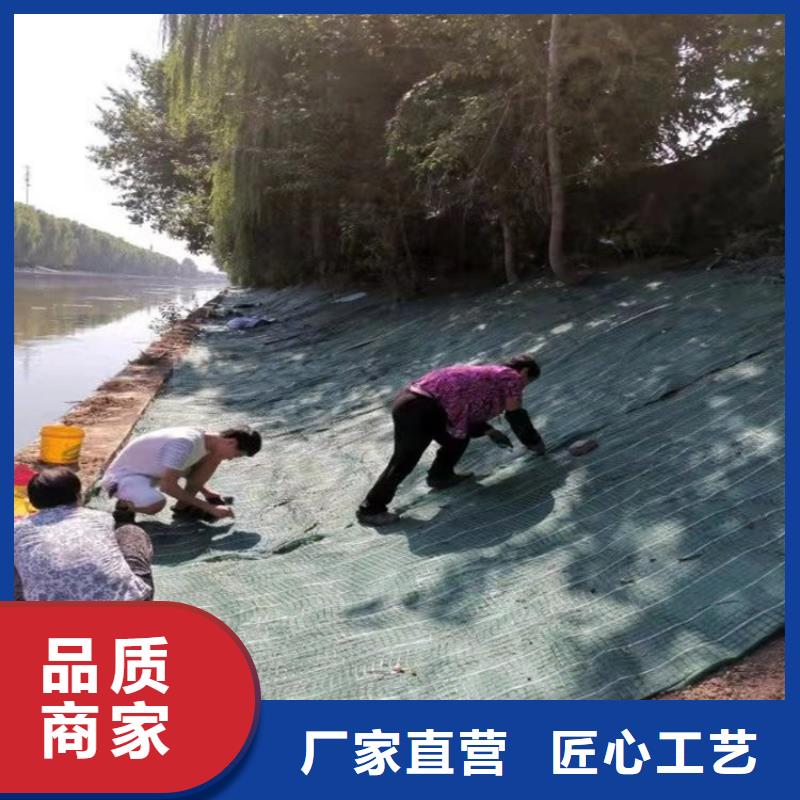 椰丝毯,双向塑料土工格栅批发货源