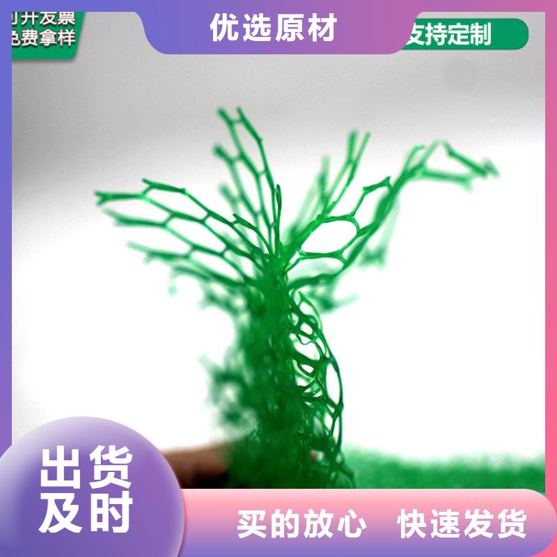 【三维植被网_防渗膜源头直供】